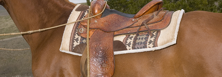 Western Saddle